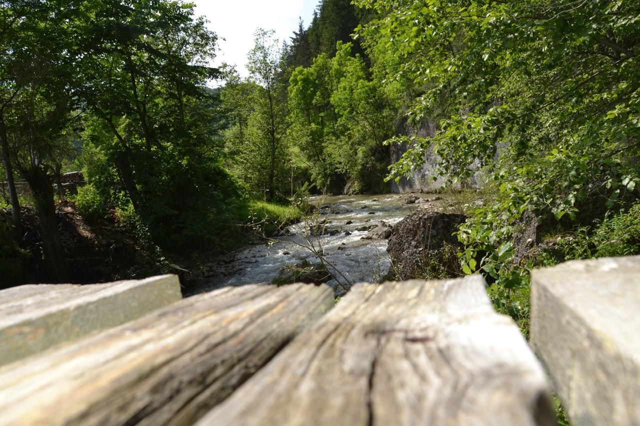 Gospodaria Lui Nea Ion Vama Buzăului Exterior foto
