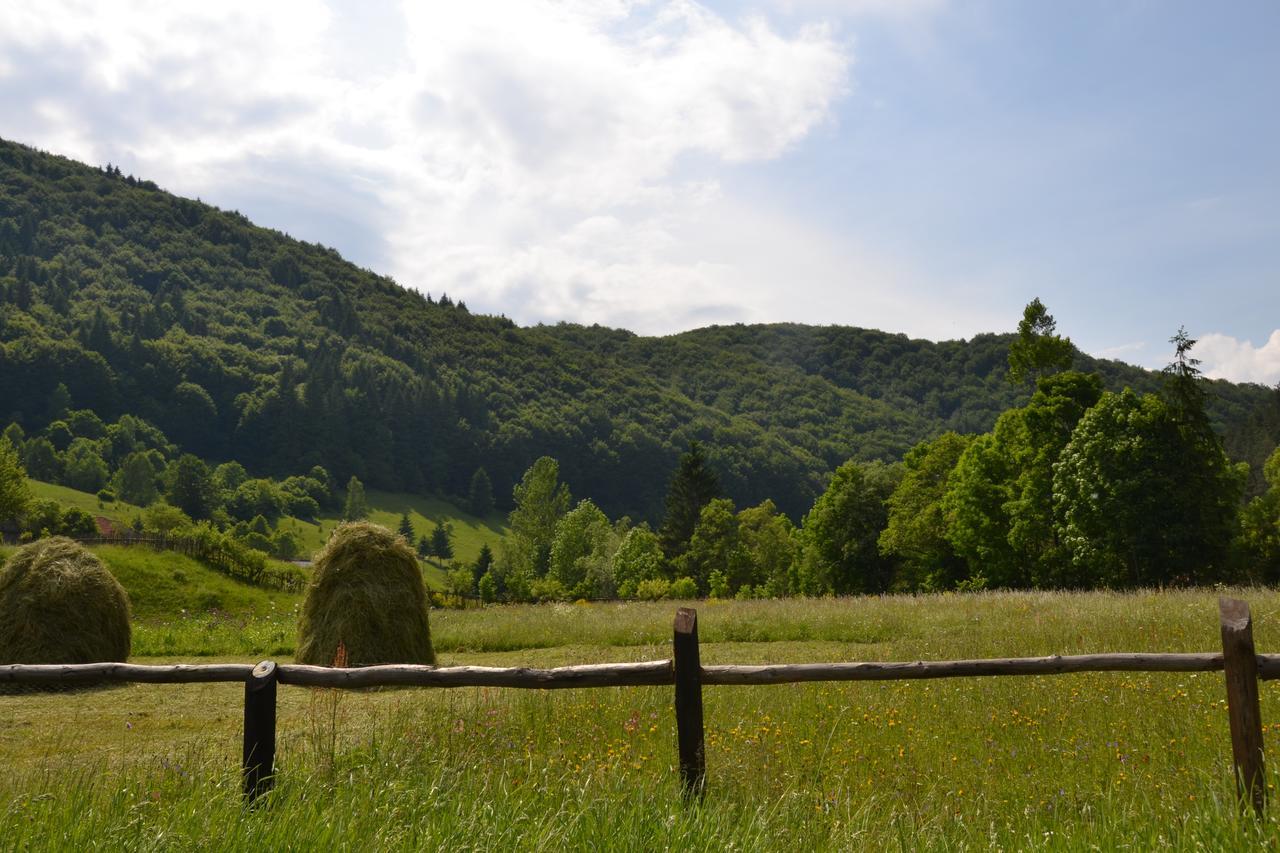 Gospodaria Lui Nea Ion Vama Buzăului Exterior foto