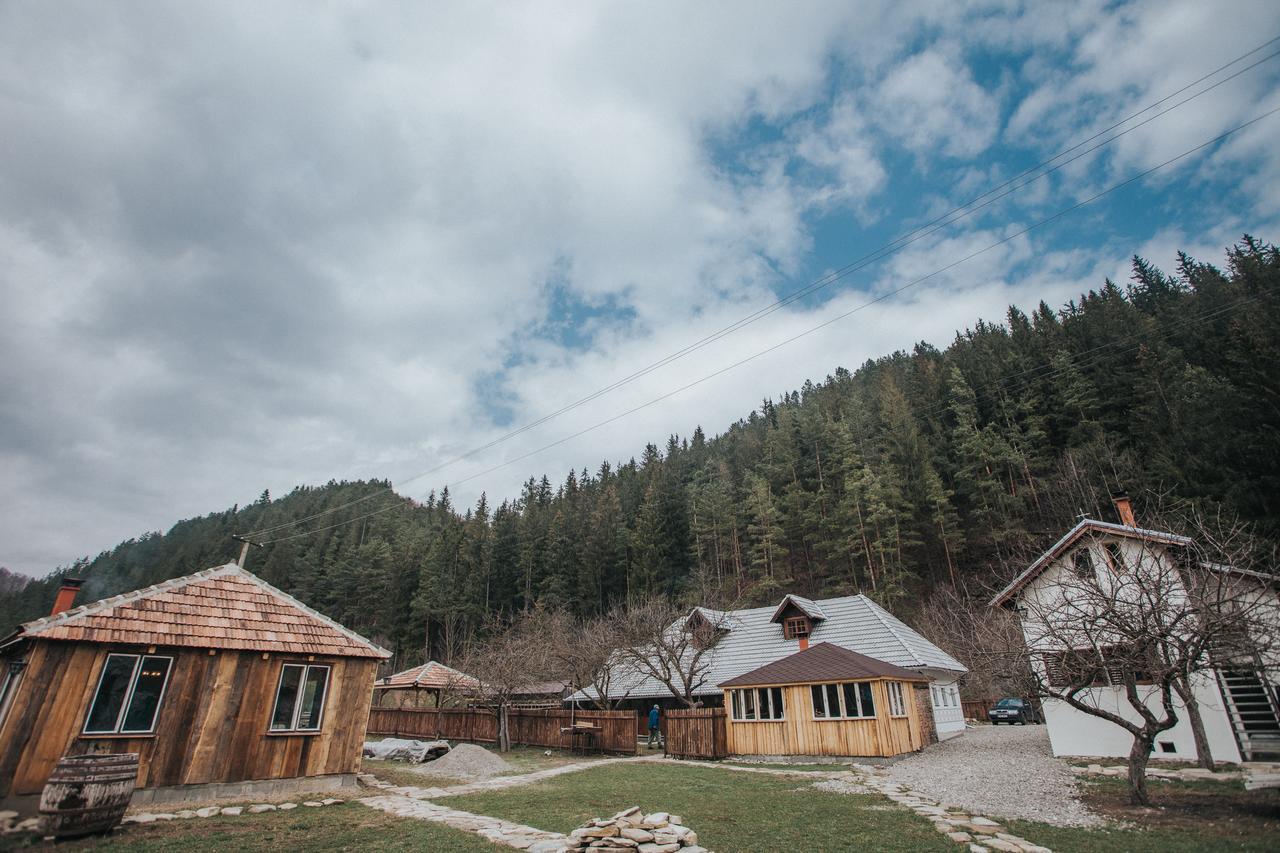 Gospodaria Lui Nea Ion Vama Buzăului Exterior foto